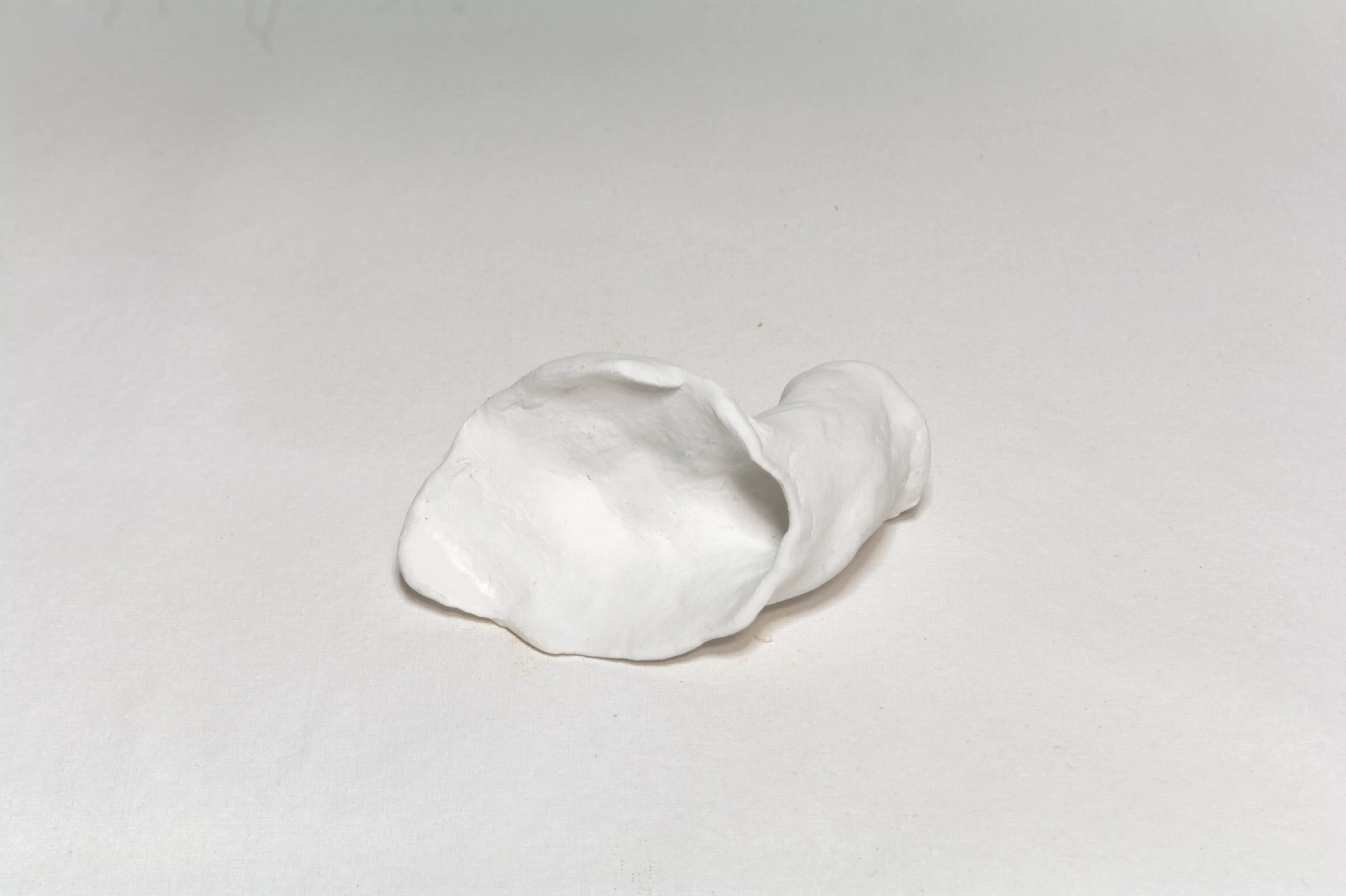 Function-1-An Ear, Ryu Sung Chul, 2022, Clay, acrylic
